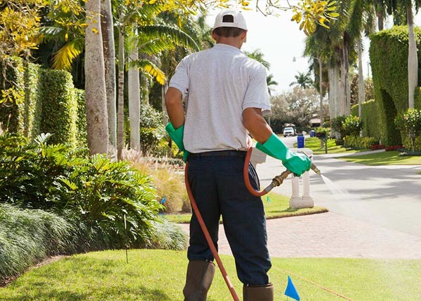 About Colony OK Pest Control